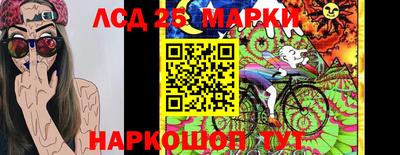 индика Аргун