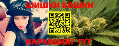 индика Аргун