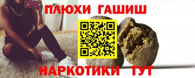 индика Аргун