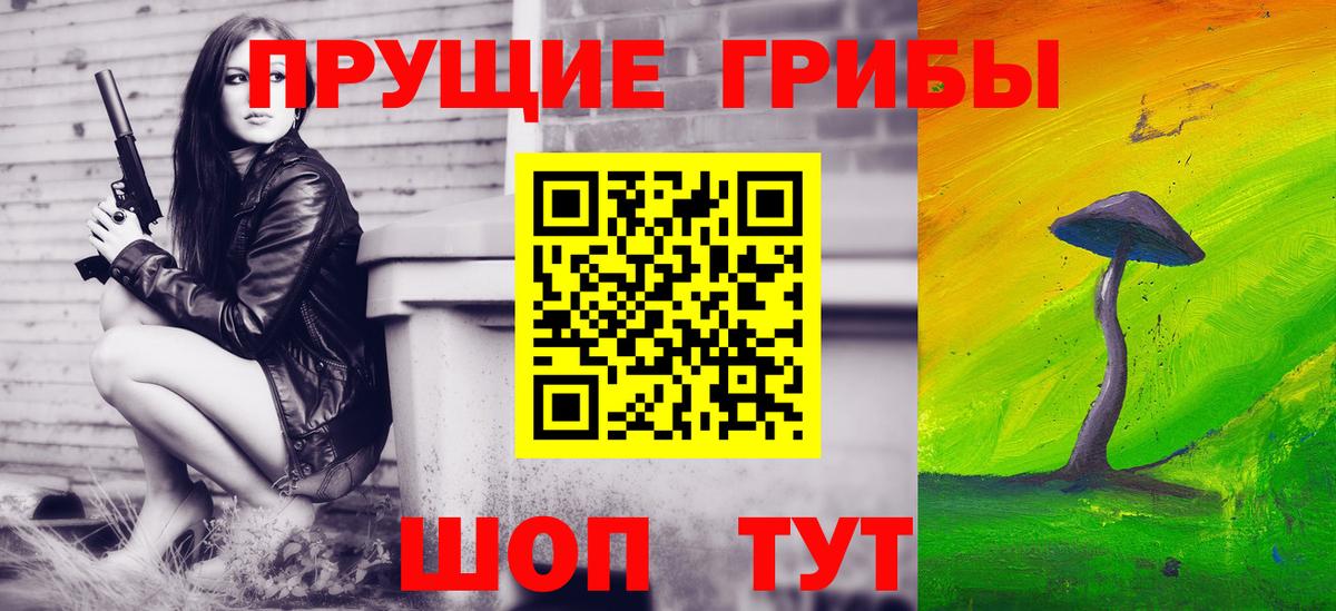 Псилоцибиновые грибы мицелий  Вход с VPN  Будённовск 