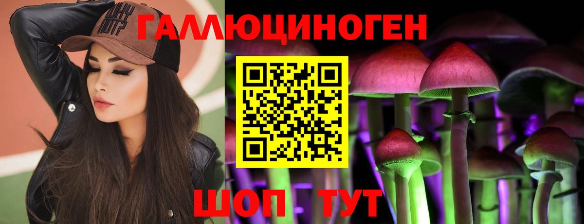 Псилоцибиновые грибы Psilocybe Будённовск