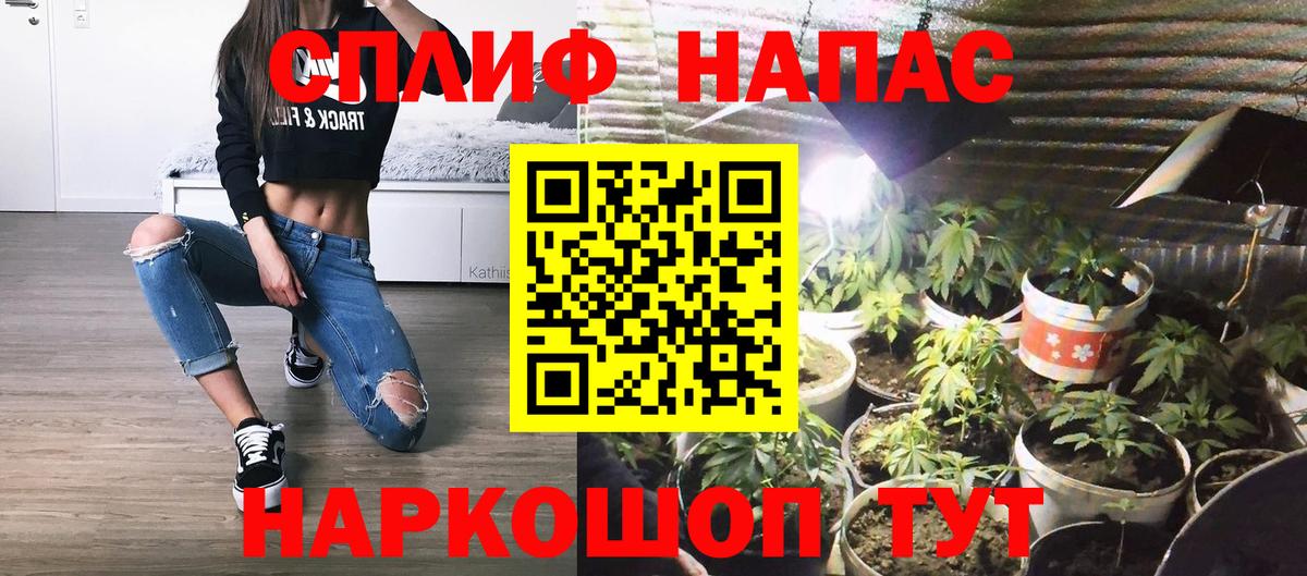 Бошки марихуана Ganja Будённовск
